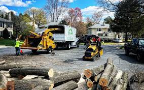 Best Tree Preservation Services  in Crainvle, IL